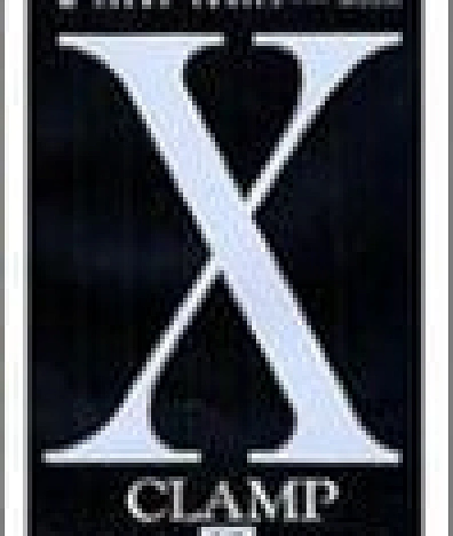 X (第18巻)