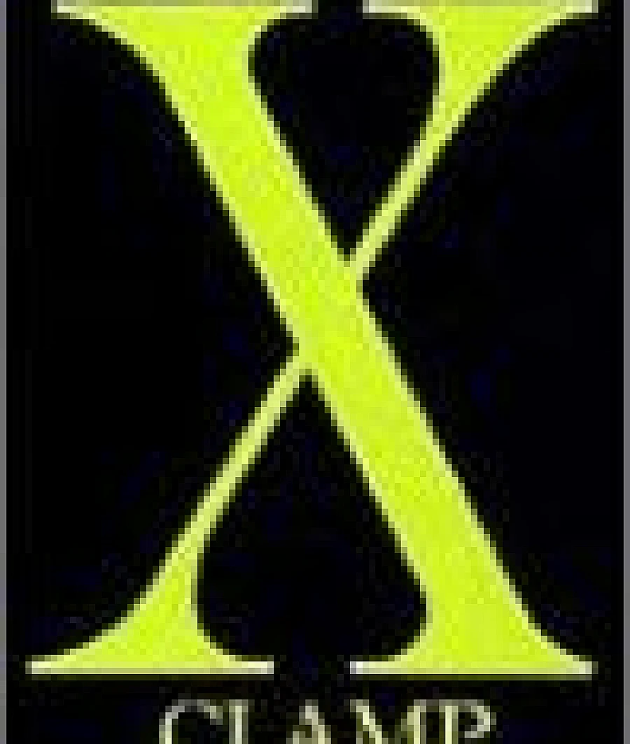 X (第17巻)