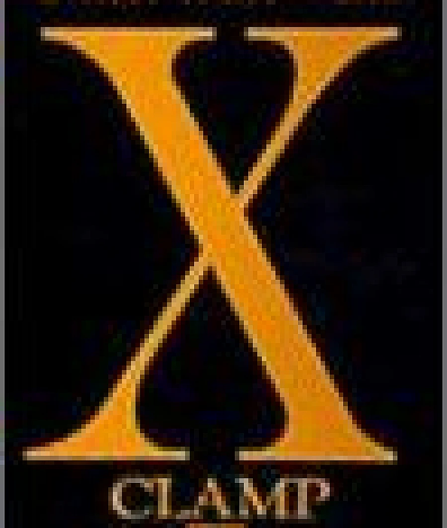 X (第16巻)