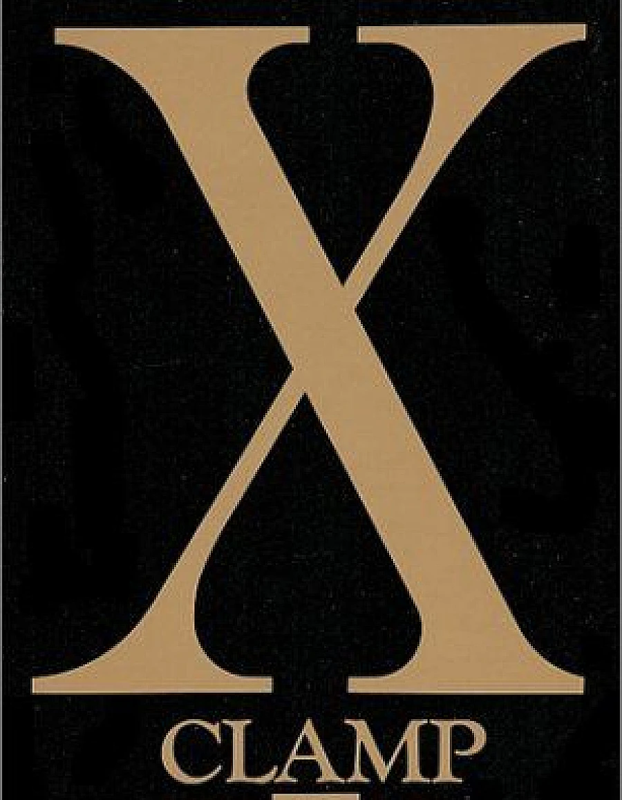 X (第13巻)