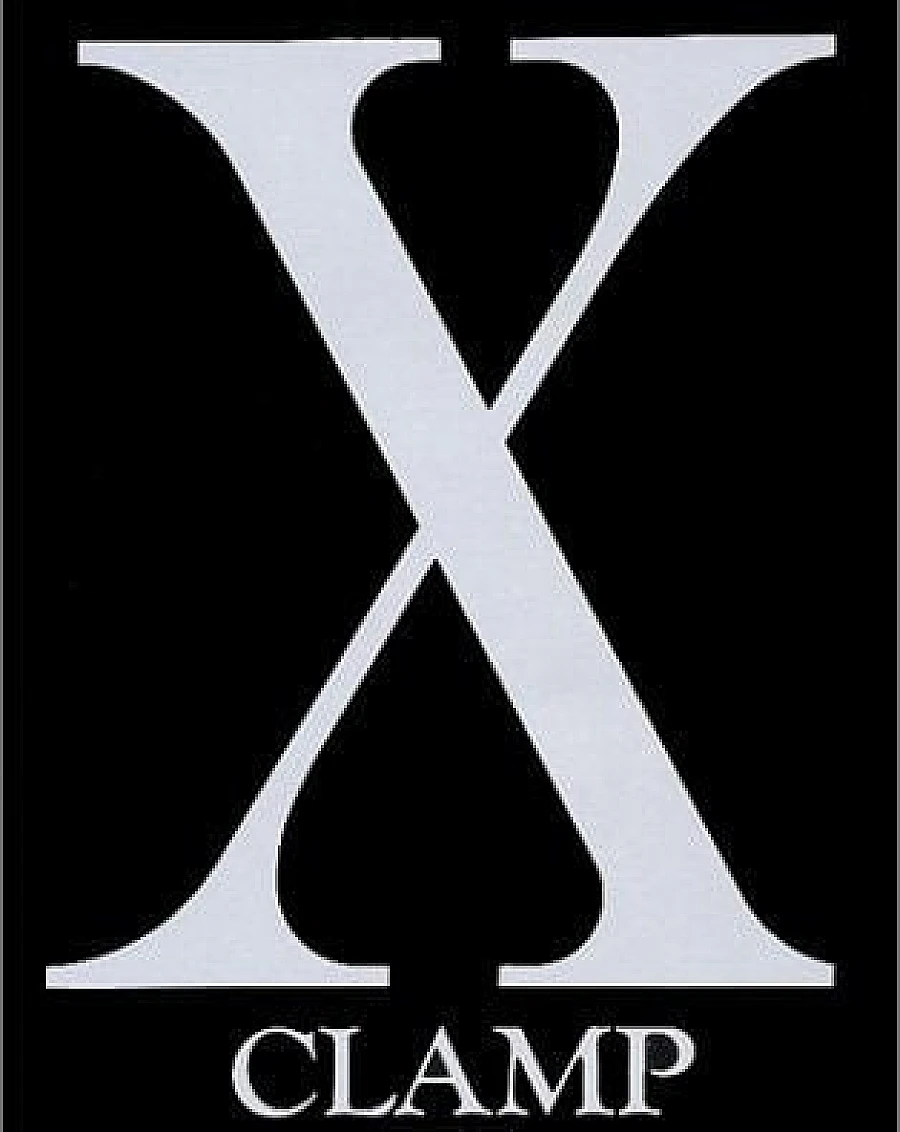 X (第12巻)
