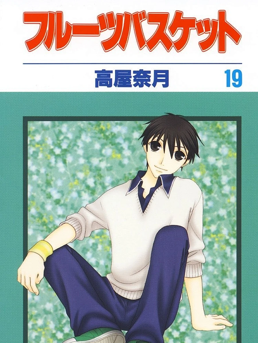 Cover image for フルーツバスケット (19)