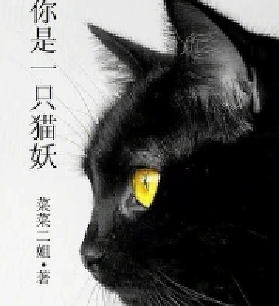 Cover image for You are a cat demon (你是一只猫妖)