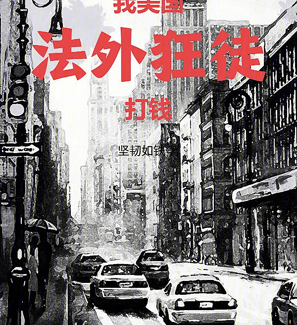 我，美国法外狂徒，打钱