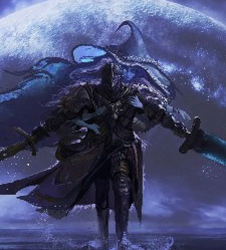 The King of Elden's Multiverse Life