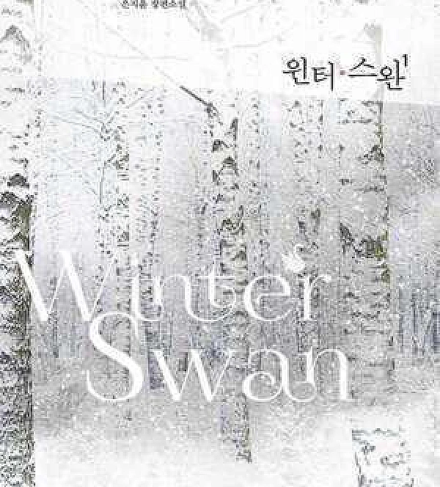 Cover image for Winter Swan