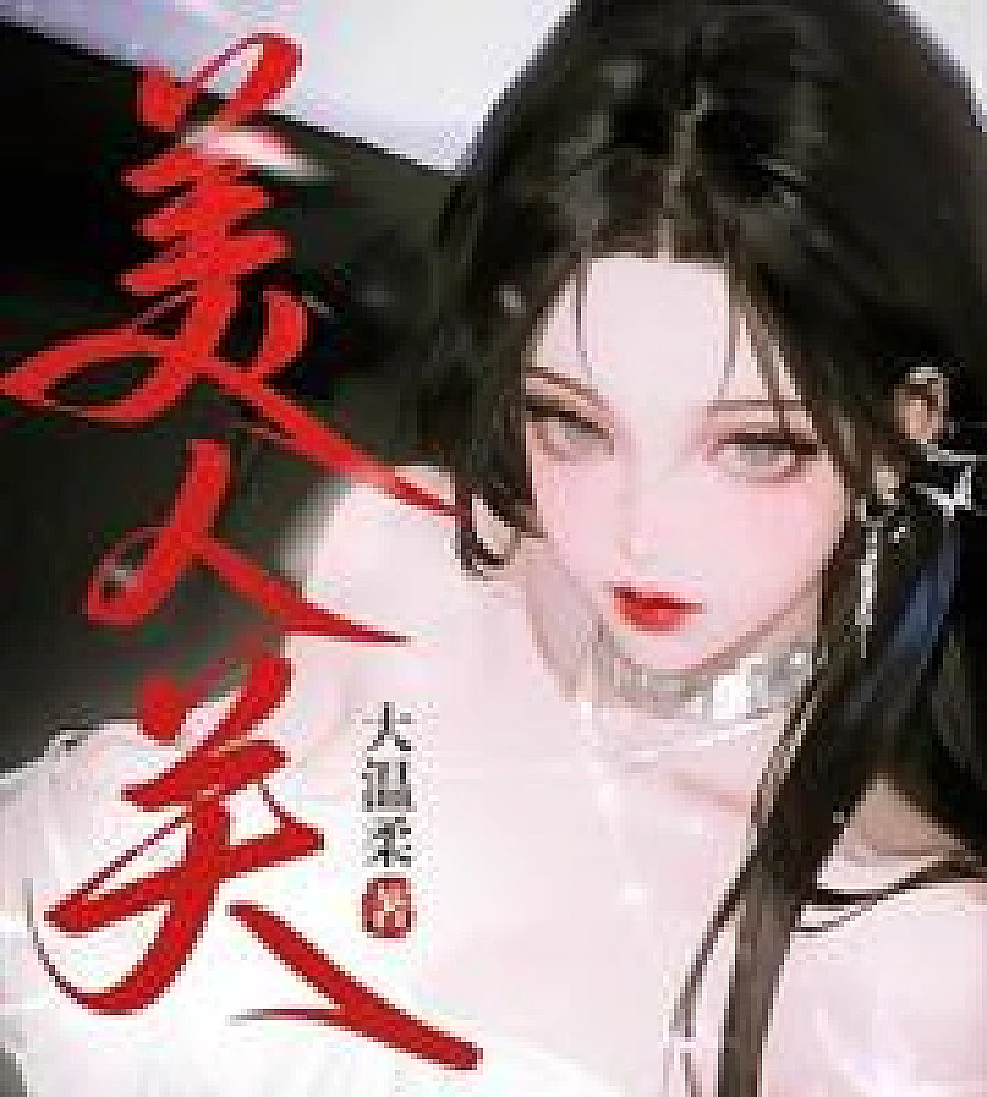Cover image for The Perfect Man (完美男人)