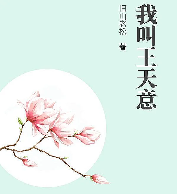 My Name Is Wang Tianyi