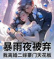 Abandoned on a stormy night, I divorced and remarried into a wealthy family.