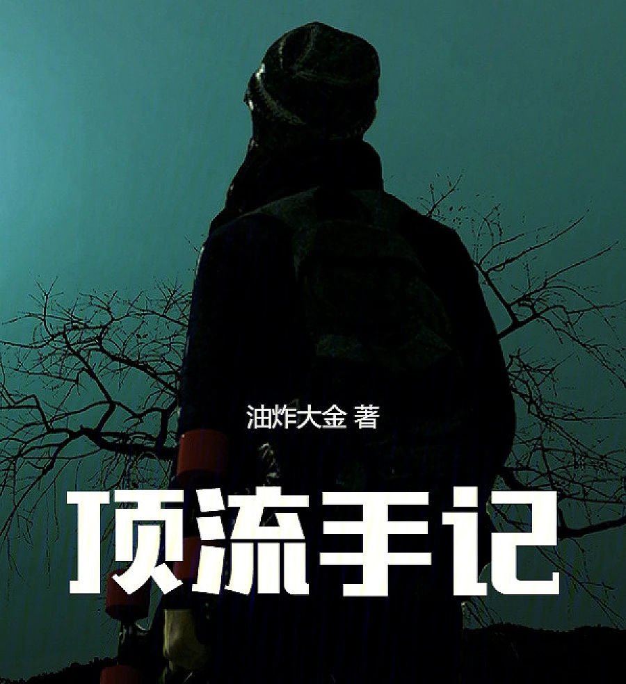 Cover image for Top Notes (顶流手记)