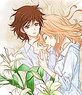 Lily Love