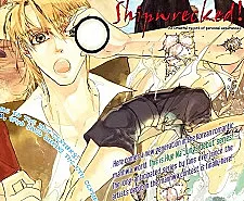 Shipwrecked!