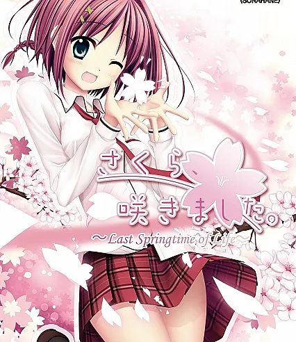 Sakura, Sakimashita.: Last Springtime of Life
