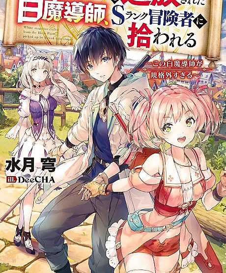 Yuusha Party wo Tsuihou Sareta Hakuma Doushi, S Rank Boukensha ni Hirowareru: Kono Hakuma Doushi ga Kikakugai Sugiru