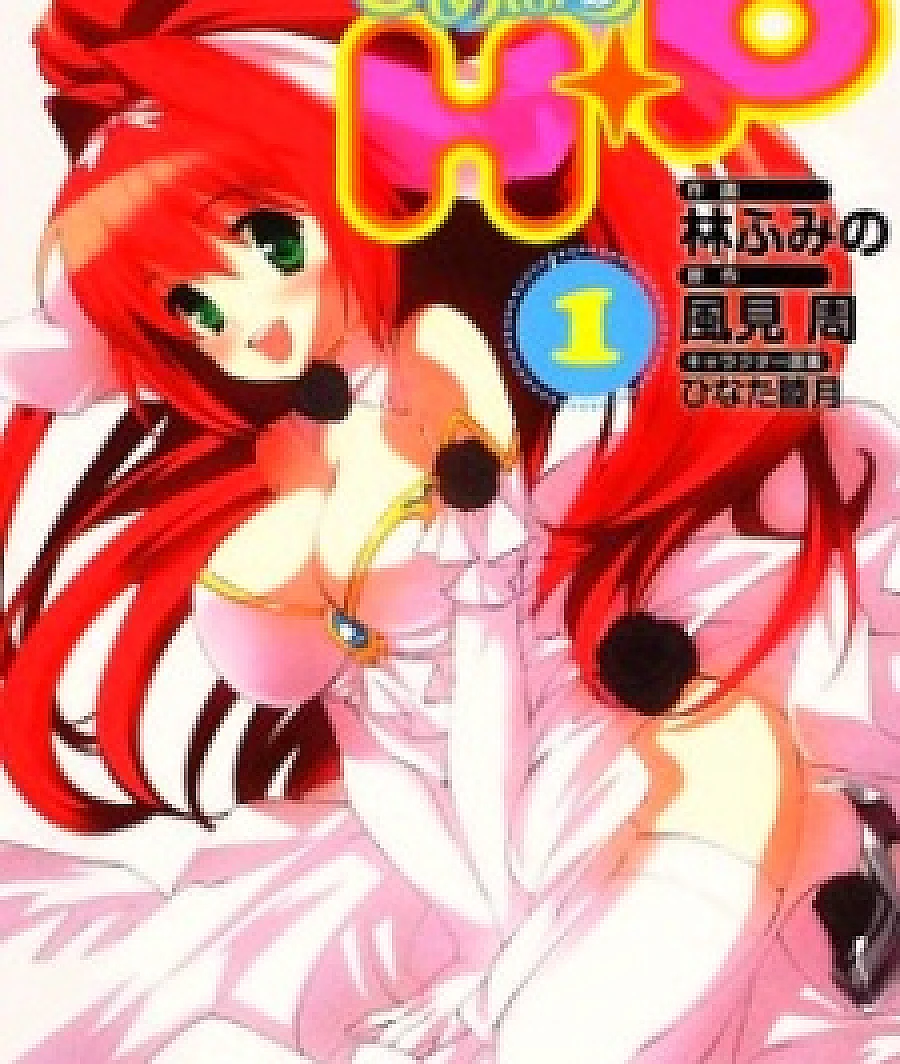 H+P -HimePara-