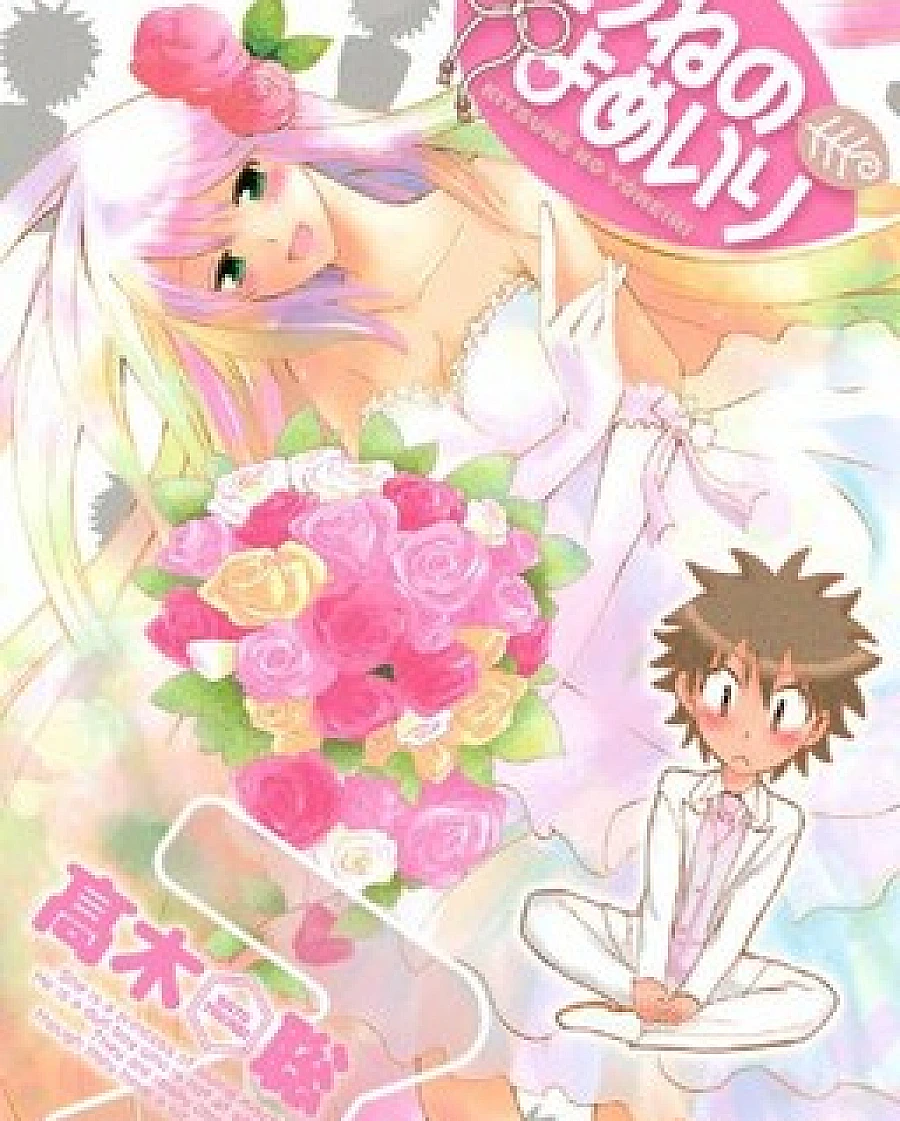 Fox's Wedding