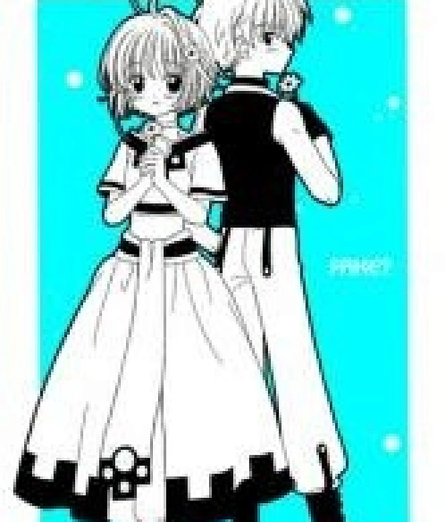 Tsubasa -RESERVoir CHRoNiCLE- - Fake? (Doujinshi)