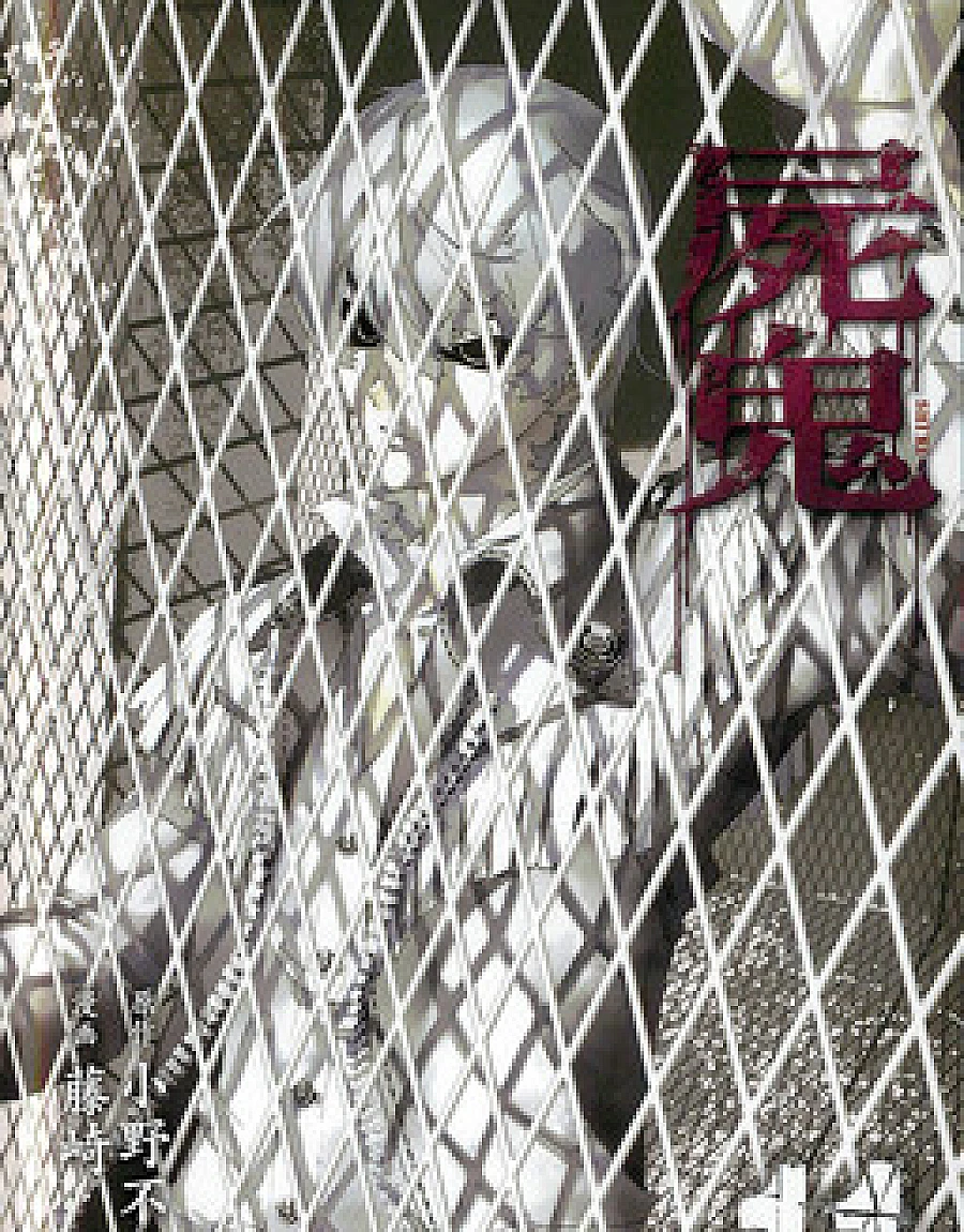 Cover image for Shiki (Corpse Demon; Shi-ki; 屍鬼)
