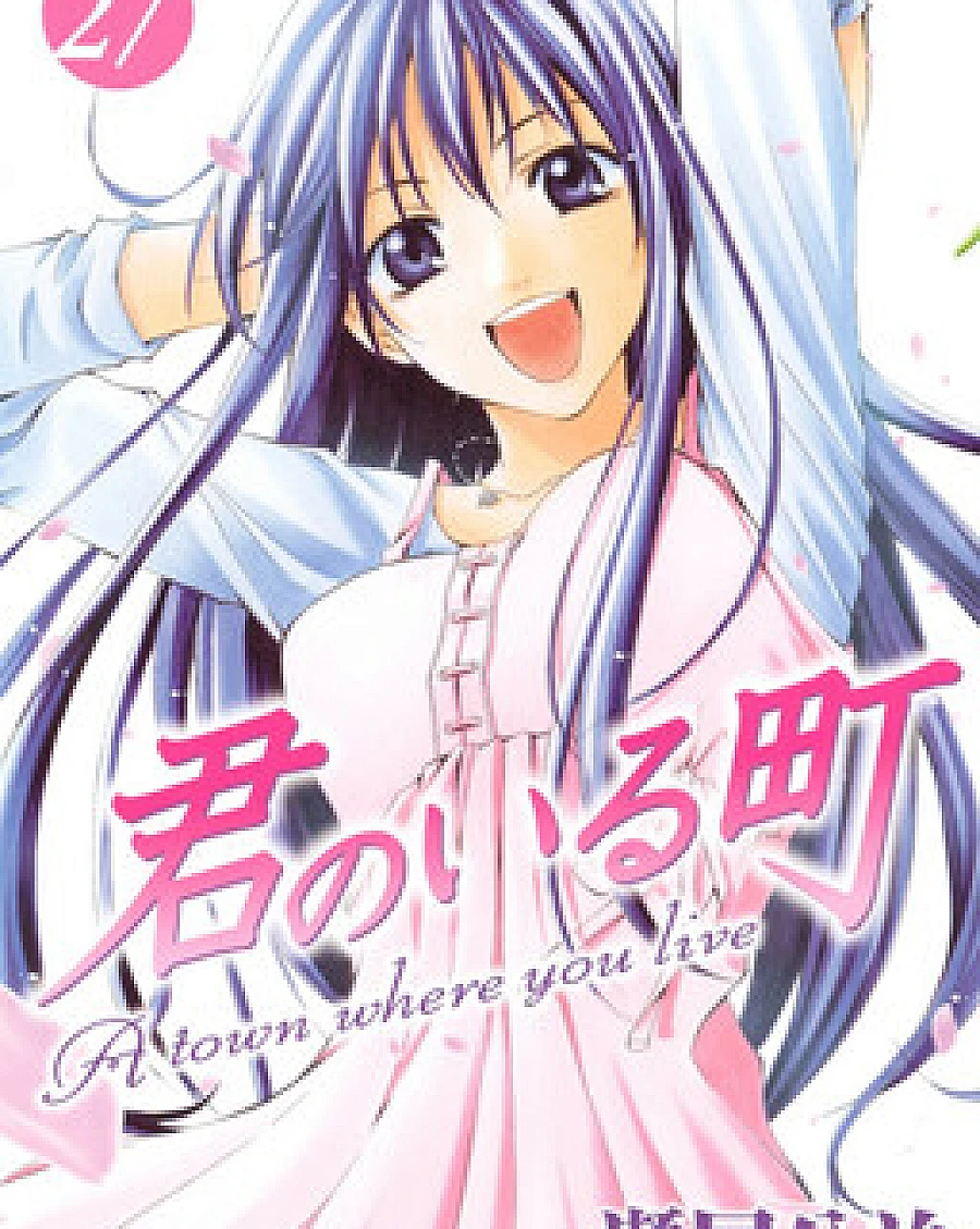 Kimi no Iru Machi