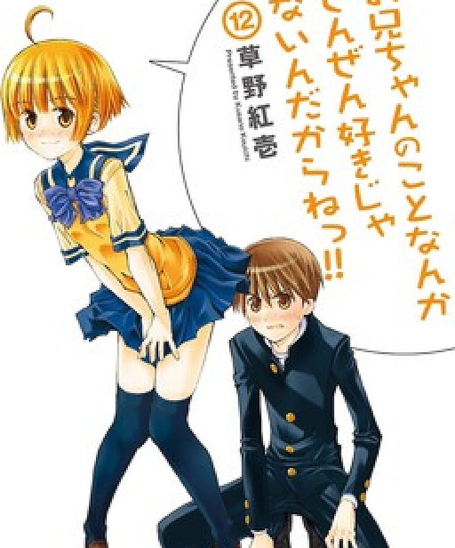 Onii-chan no Koto Nanka Zenzen Suki ja Nain da Kara ne!!