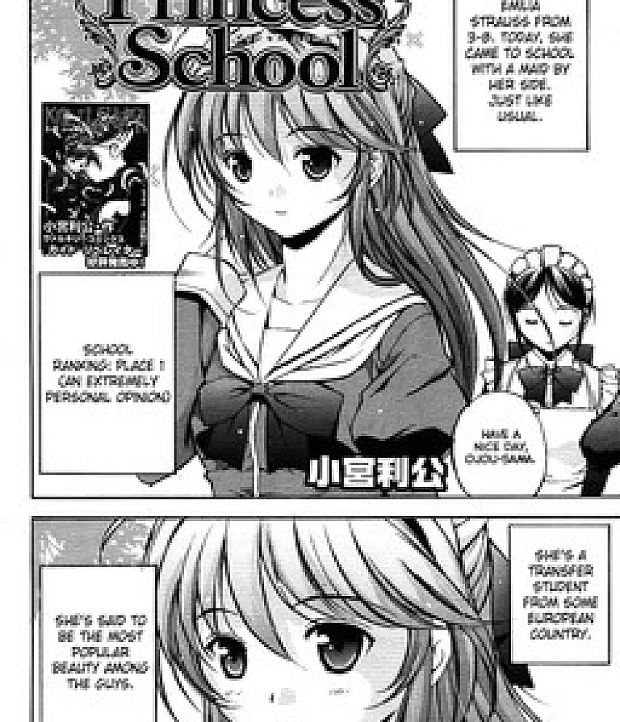 Princess School