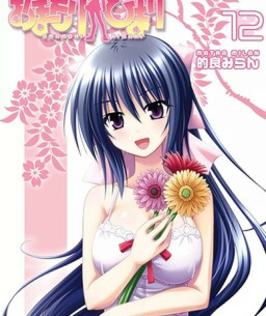 Omamori Himari