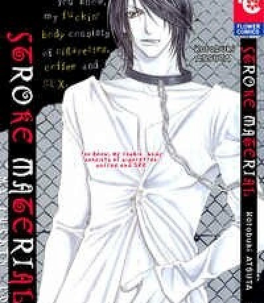 Cover image for Stroke Materials (Estrogenic Material; Hatsujou Material; 発情マテリアル)