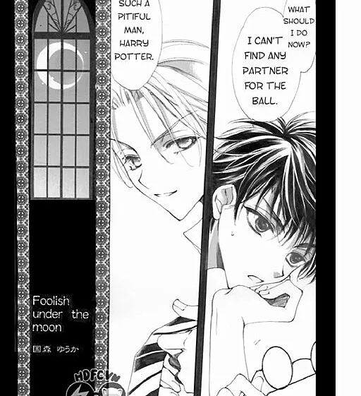 Harry Potter - Foolish Under The Moon (Doujinshi)