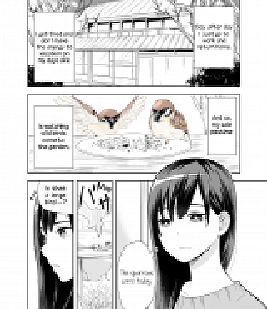 A Cute Bird Comes to an Office Lady Who Is Tired and Healed by Birdwatching