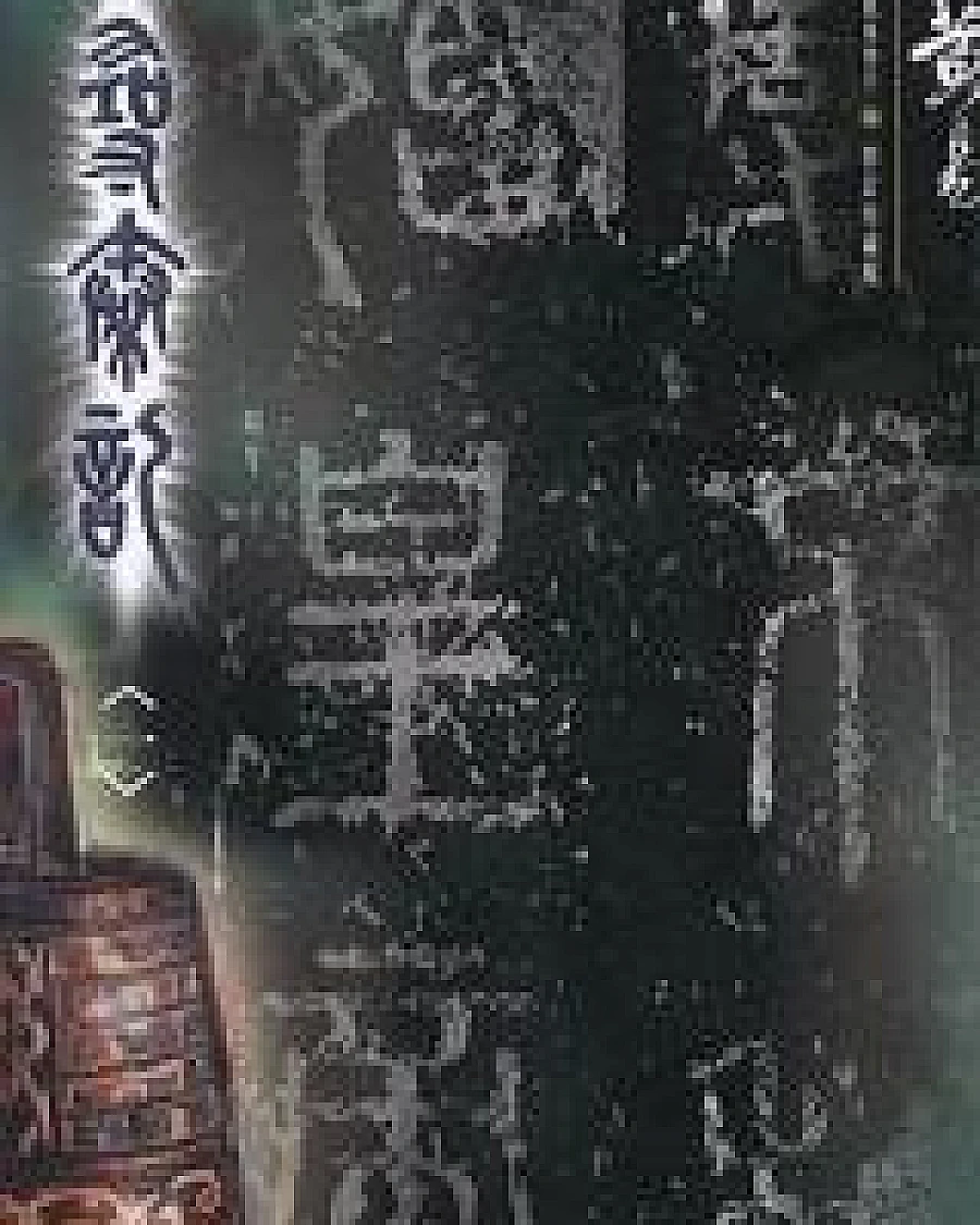 A Step Into the Past (Novel)