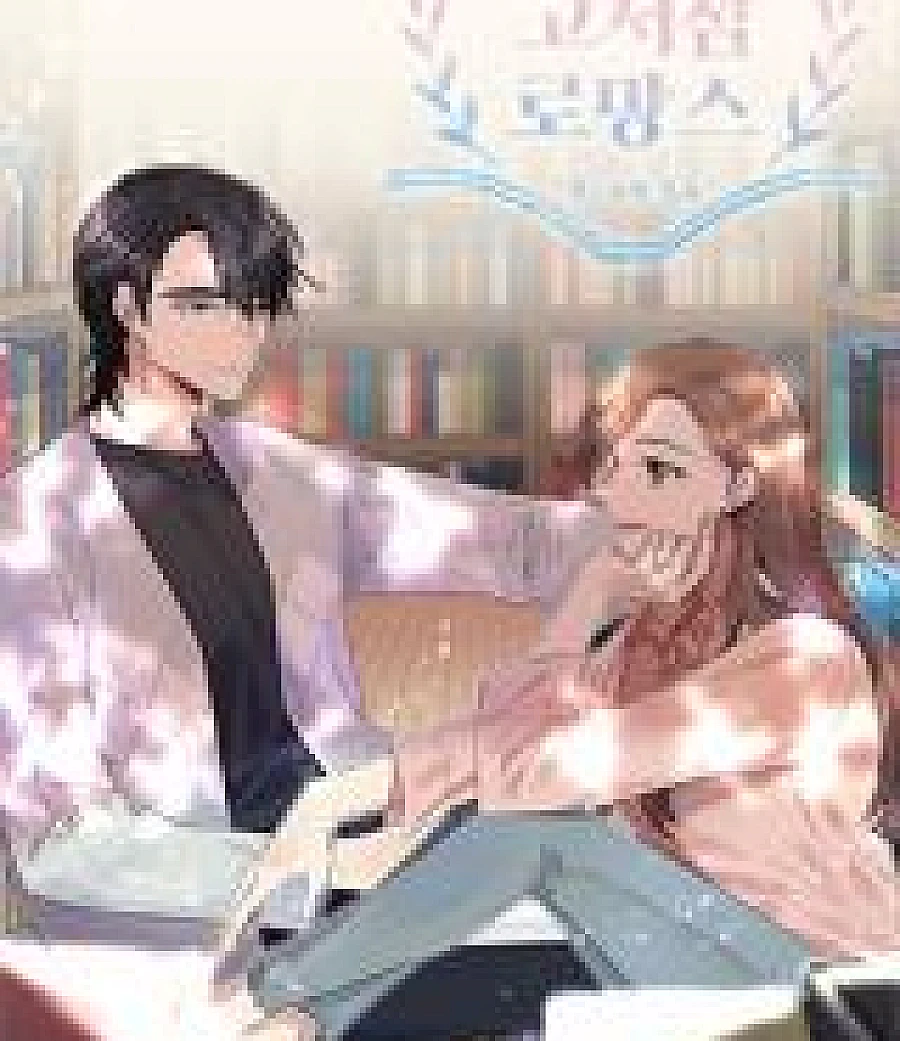 A Bookstore Romance