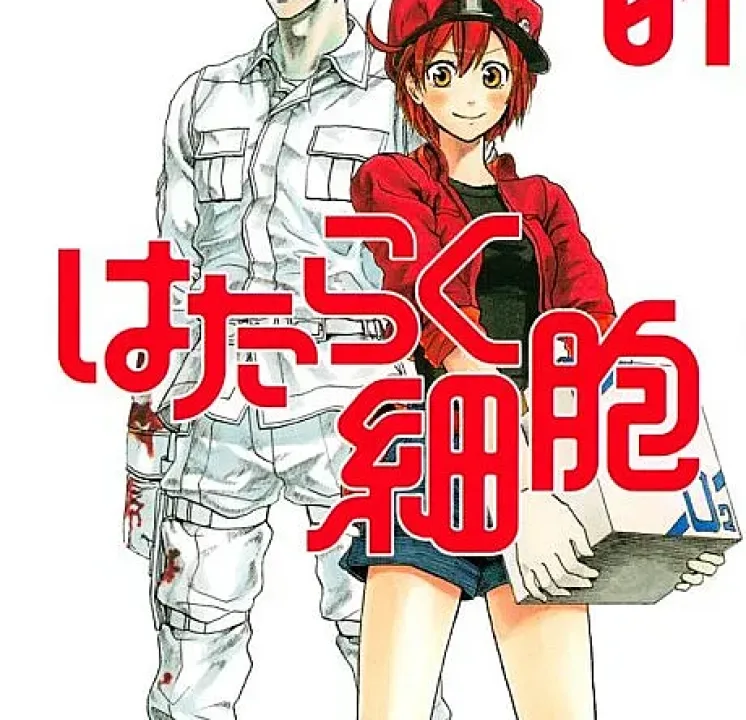 Cells at Work!