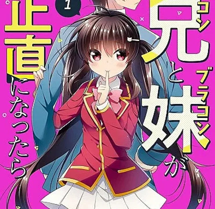 Siscon Ani to Brocon Imouto ga Shoujiki ni Nattara